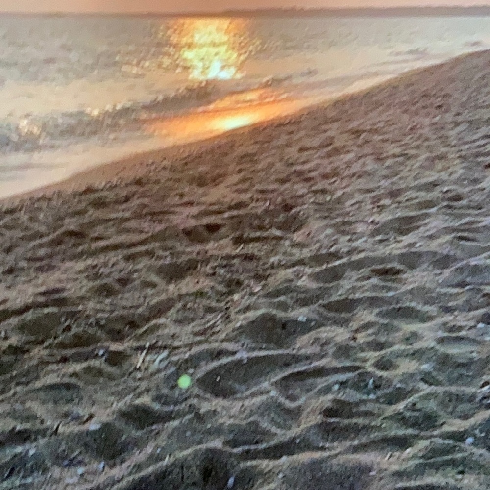 Meet your Posher, Cat